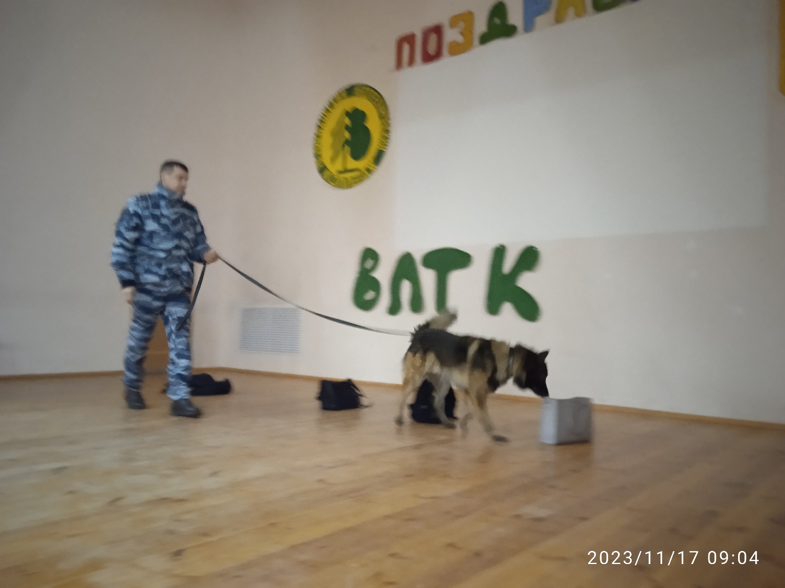 песя